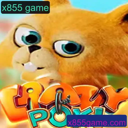 Descubra o Fenômeno do Jogo CrazyPoki: Regras e Estratégias do x855 Game