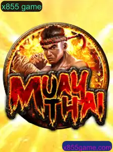 MuayThai: Exploração das Regras e sua Evolução Moderna